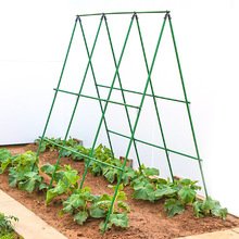 Pronett XJ5699 Podpěra na rostliny 120cm, zelená