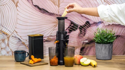 Teesa TSA3233 Elektrický odšťavňovač šnekový 130W, černý