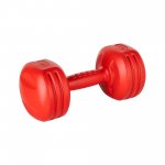 Rebel RBA-2308 Fitness činky 2 x 3 kg, červené
