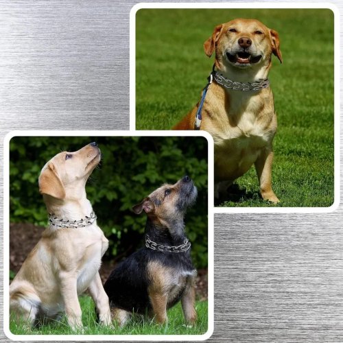 Nuxie 2933 Výcvikový obojek kovový ostnatý 50-60 cm, XXL