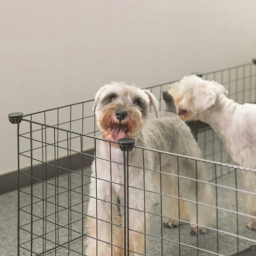 Nuxie 3252 Ohrádka pro zvířata 90 x 90 x 30 cm, černá