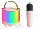 Verk 27503 Karaoke Bluetooth reproduktor, 2x bezdrátový mikrofon, béžový