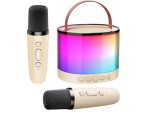 Verk 27503 Karaoke Bluetooth reproduktor, 2x bezdrátový mikrofon, béžový