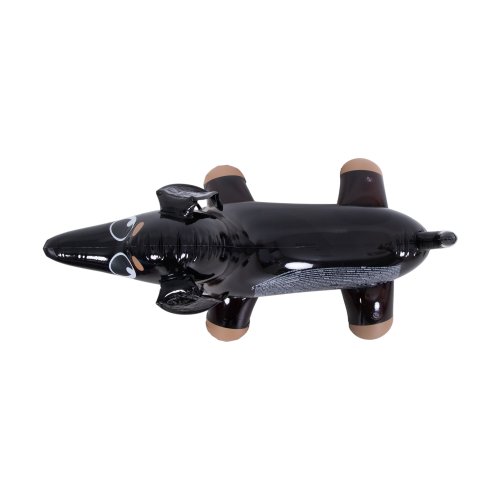 SunClub 35278 Nafukovacia hračka do vody - pes