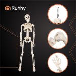 Ruhhy 26027 Ľudská kostra na Halloween 40 cm