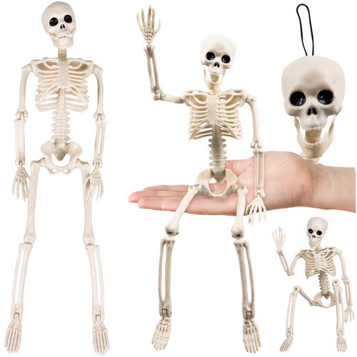 Ruhhy 26027 Ľudská kostra na Halloween 40 cm