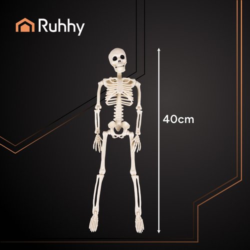Ruhhy 26027 Ľudská kostra na Halloween 40 cm