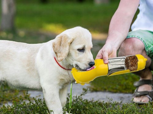 Verk 19500 Prenosný dávkovač vody a krmiva pre domáce zvieratá, zelený