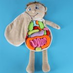 KIK KX2954 Edukačná bábika - anatomický model, chlapec