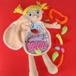 KIK KX2954 Edukačná bábika - anatomický model, dievča