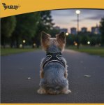 Purlov 26868 Postroj pre psa veľkosti. S, čierny