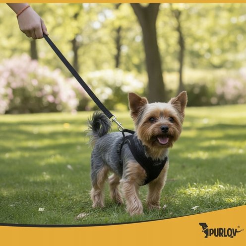 Purlov 26869 Postroj pre psa veľkosti. XS, čierna