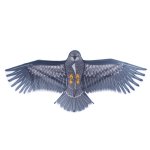 LEAN Toys 27211 Létající drak orel 150 x 70 cm