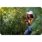 Plonos 4914-B Zahradní foliovník 2 x 3,5 m, 140 g/m², zelený 