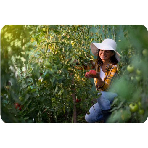 Plonos 4914-B Zahradní foliovník 2 x 3,5 m, 140 g/m², zelený 