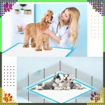 RealG RC-K-1508 Absorpčné podložky na výcvik psov 40 x 60 cm, 50 ks, modré