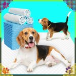 RealG RC-K-1508 Absorpčné podložky na výcvik psov 40 x 60 cm, 50 ks, modré