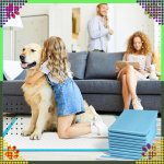 RealG RC-K-1508 Absorpčné podložky na výcvik psov 40 x 60 cm, 50 ks, modré