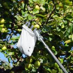 RealG RC-K-2213 Teleskopický česáček na ovoce 400 cm, 4 nástavce