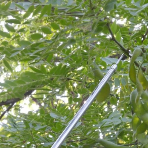 RealG RC-K-2213 Teleskopický česáček na ovoce 400 cm, 4 nástavce