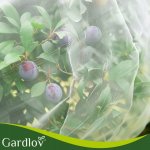 Gardlov 27548 Ochranná síť na záhony proti ptactvu a škůdcům 3 x 6 m, bílá