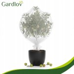 Gardlov 27548 Ochranná síť na záhony proti ptactvu a škůdcům 3 x 6 m, bílá