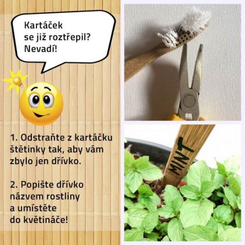 GFT Bambusový zubná kefka