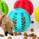 GFT Žvýkací míček pro psy