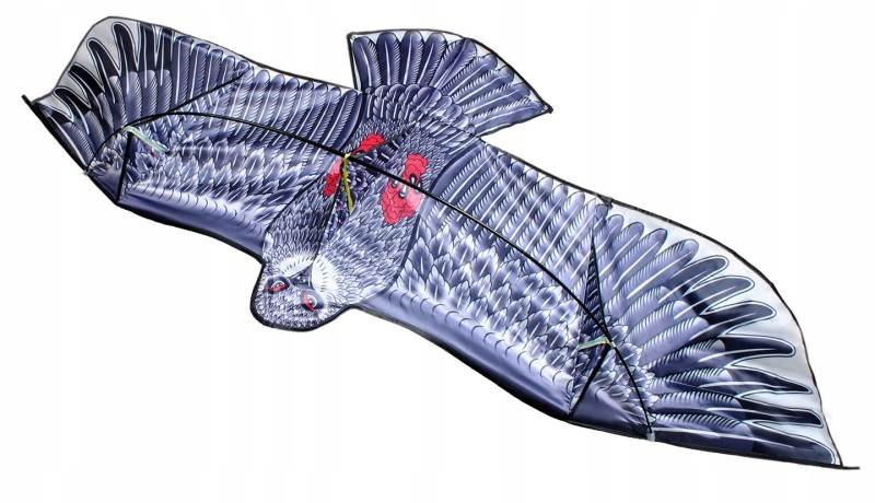 ISO 8560 Veľký lietajúci drak Orol 200x83cm