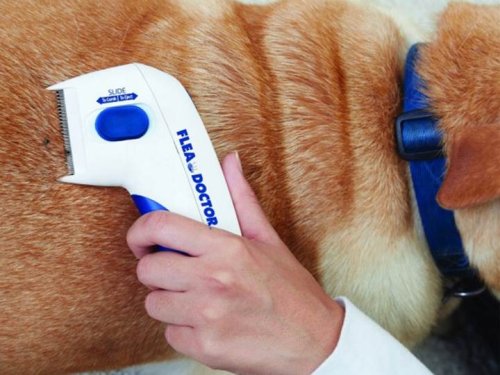 Verk 15696 Hrebeň proti blchám pre psov a mačky Flea Doctor